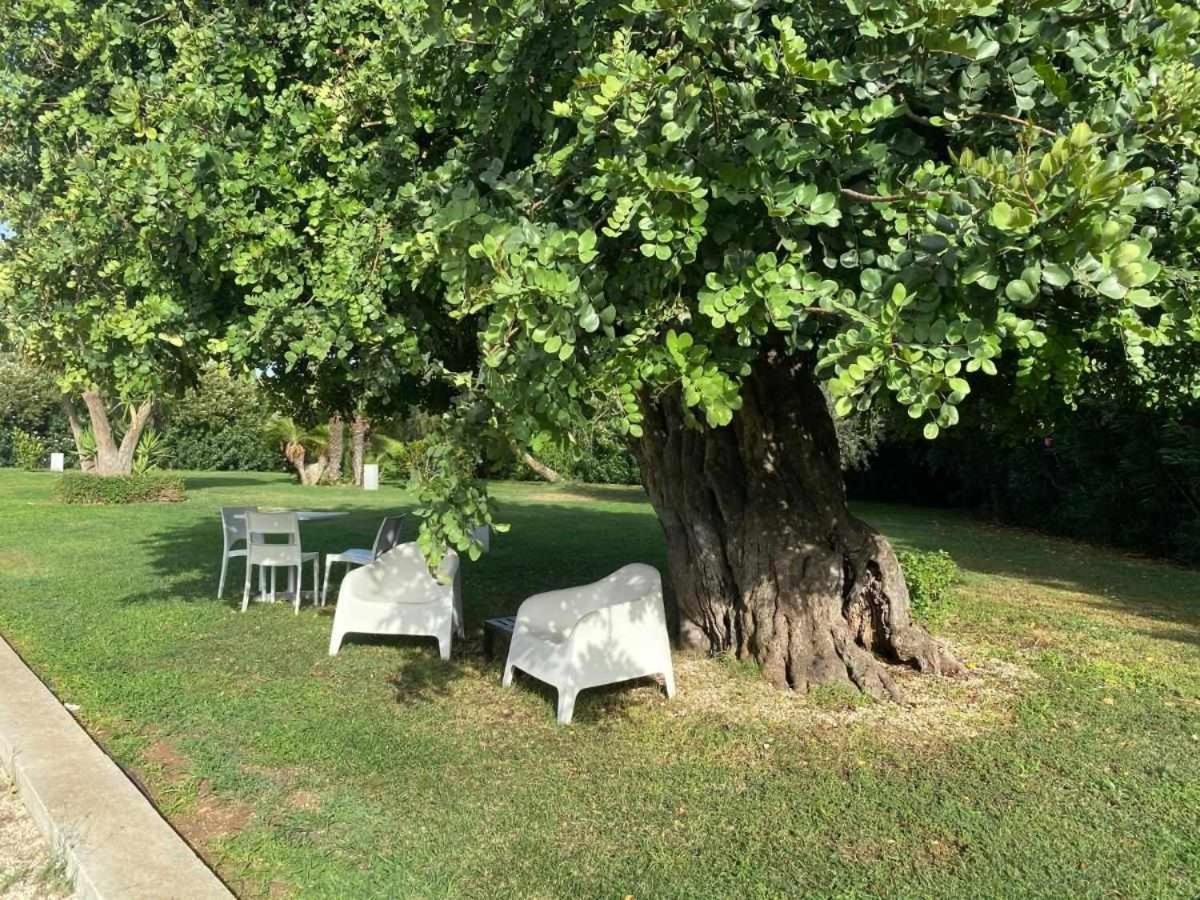 Torre Dantona Country Suites Pozzallo Dış mekan fotoğraf
