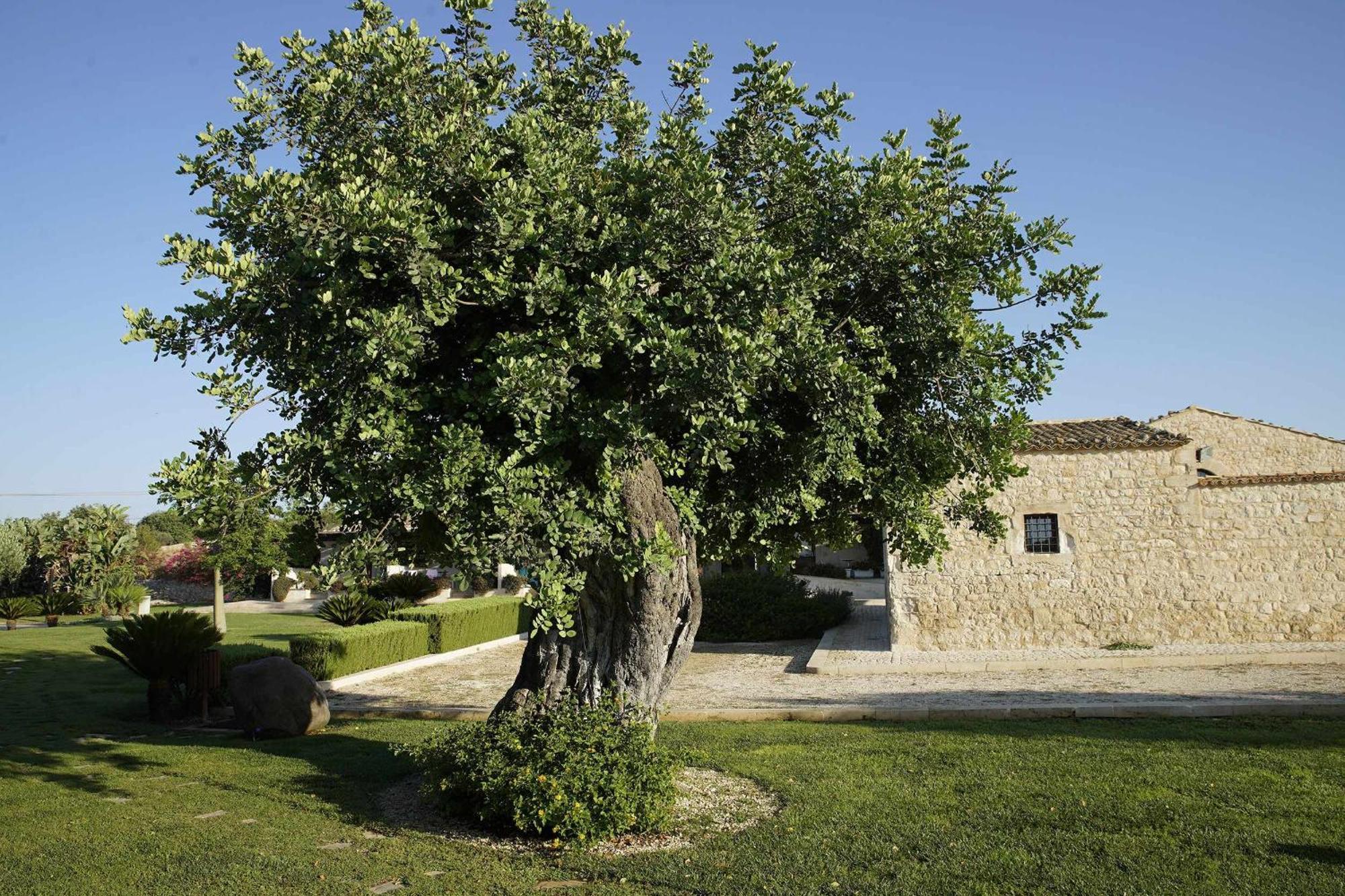 Torre Dantona Country Suites Pozzallo Dış mekan fotoğraf
